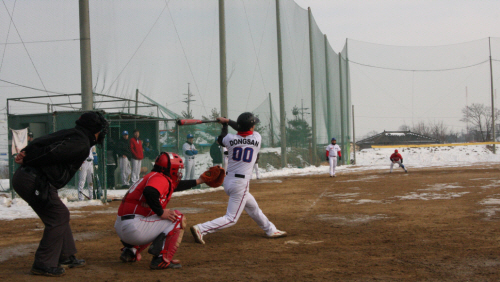 slugger_20100118_3.jpg